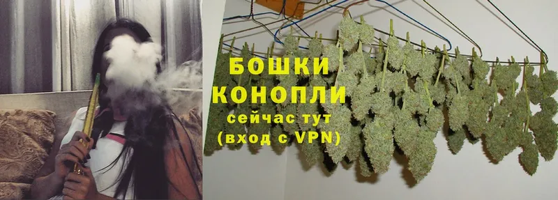 МАРИХУАНА SATIVA & INDICA  где найти наркотики  Заречный 